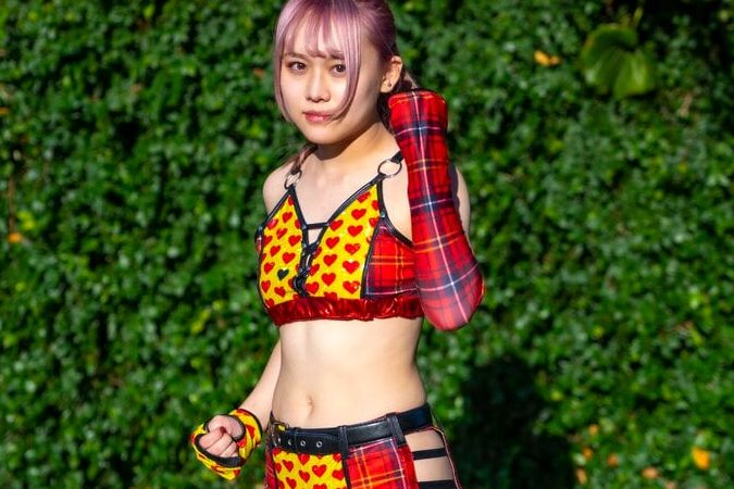 林下詩美 木村花の作品とその魅力について